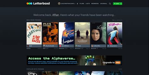 letterboxd code|does letterboxd give recommendations.